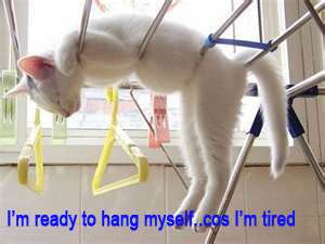 'I feel like this..after such a loooong day.'..sigh*